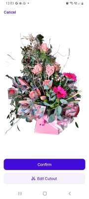 Living Vase Arrangement